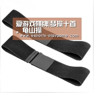 爱游戏棋牌|琴操十首。龟山操(图3) 爱游戏棋牌